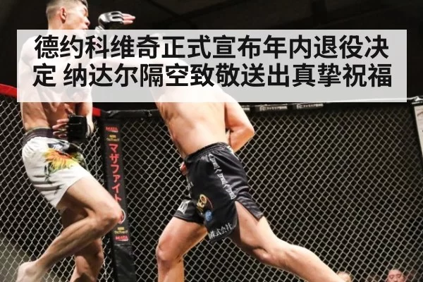 德约科维奇正式宣布年内退役决定 纳达尔隔空致敬送出真挚祝福